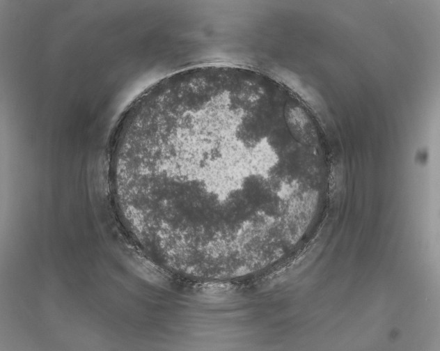 X0000116861310201002021058