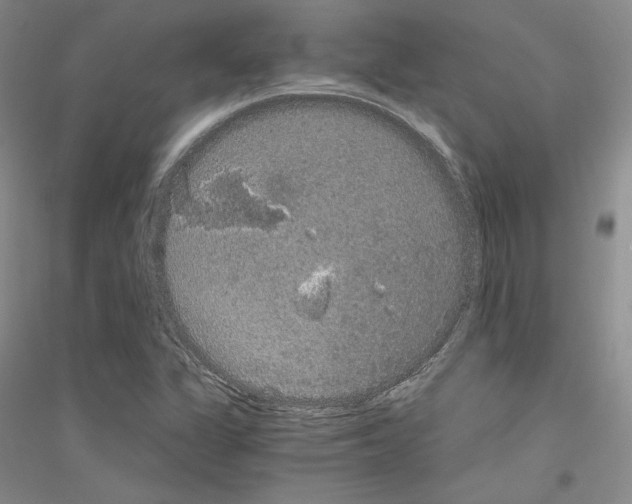 X0000116861311201002021058