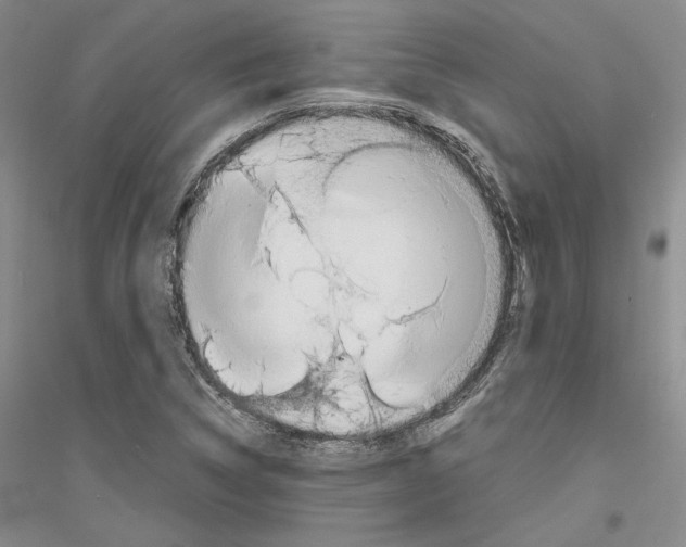 X0000116861314201002021058