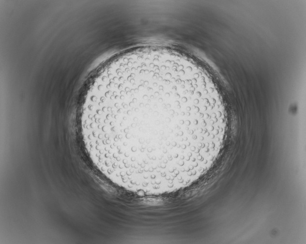 X0000116861315201002021058