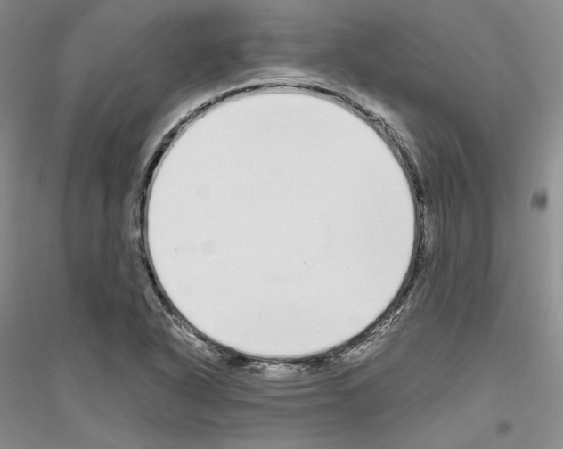 X0000116861318201002021058