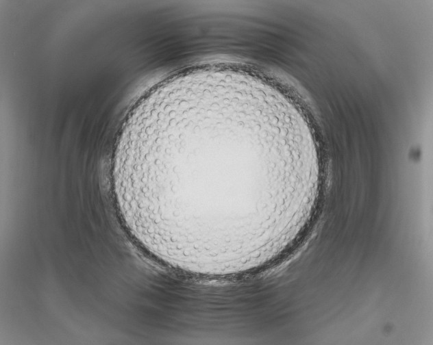 X0000116861321201002021058