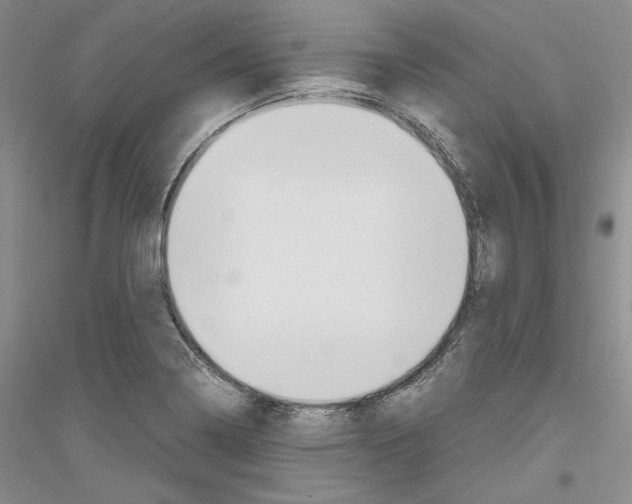 X0000116861322201002021058