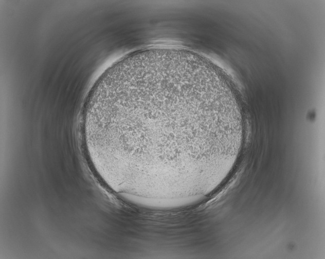 X0000116861325201002021058