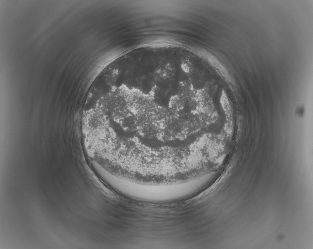 X0000116861329201002021058