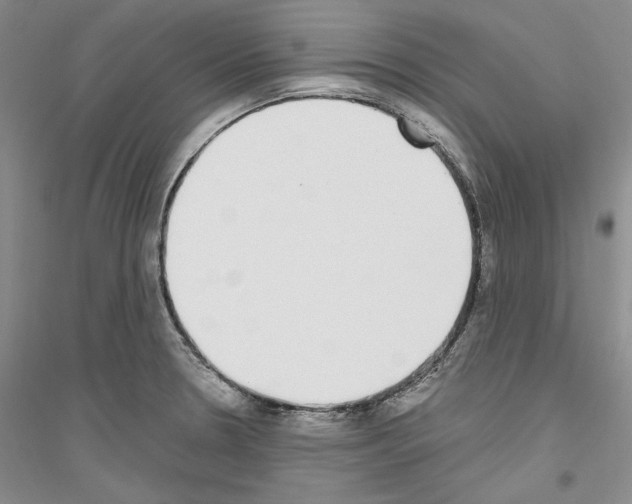 X0000116861330201002021058