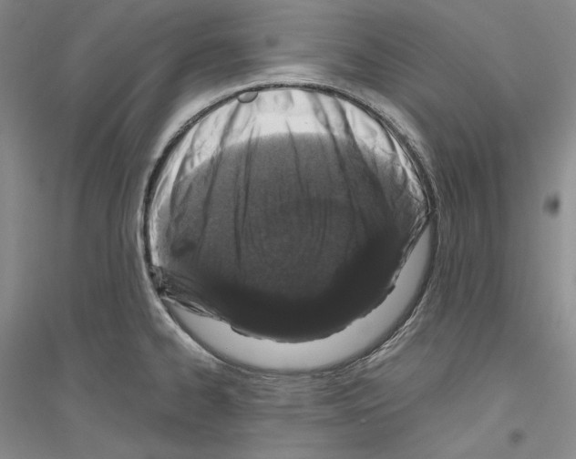 X0000116861334201002021058