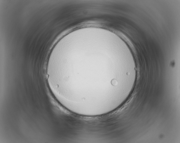 X0000116861341201002021058