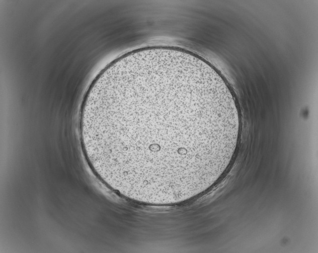 X0000116861342201002021058