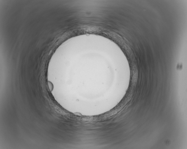 X0000116861345201002021058