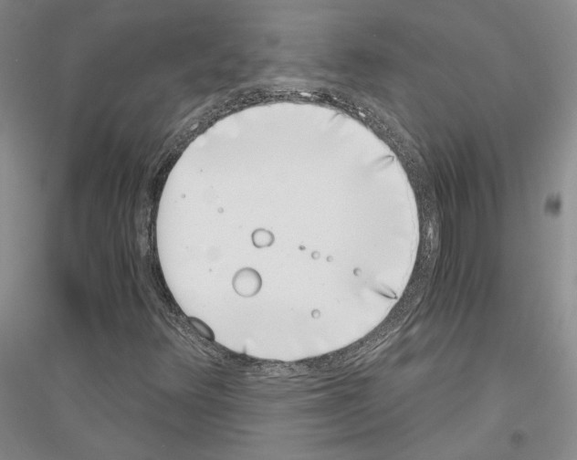 X0000116861348201002021058