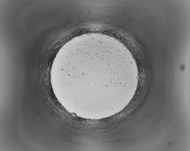 X0000116861349201002021058