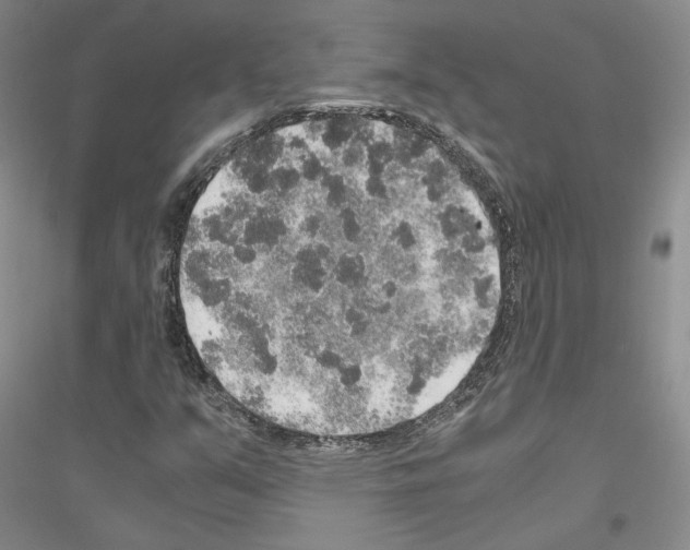 X0000116861351201002021057