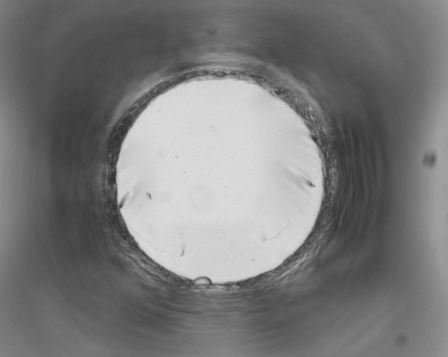 X0000116861352201002021057