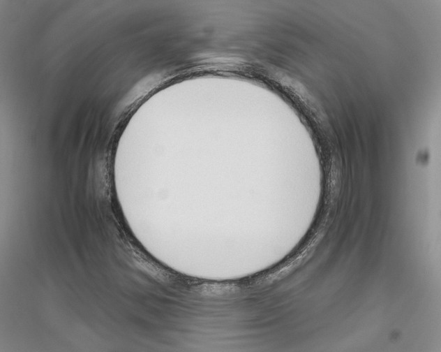 X0000116861354201002021057