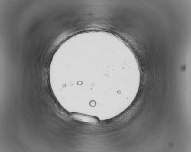 X0000116861355201002021057