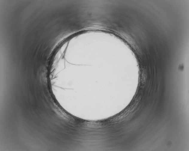 X0000116861356201002021057