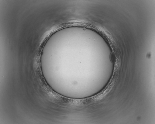 X0000116861357201002021057