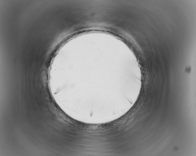 X0000116861360201002021057