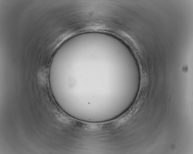 X0000116861361201002021057