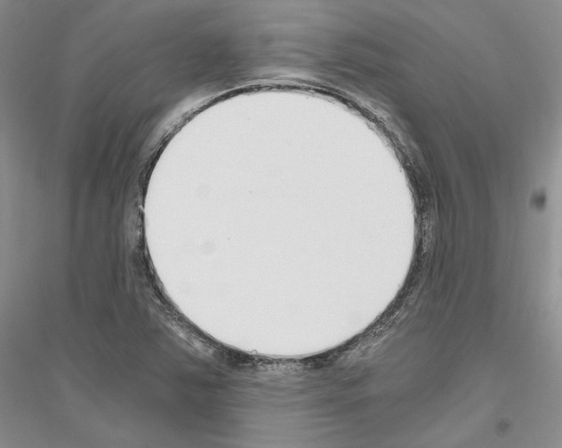 X0000116861363201002021057