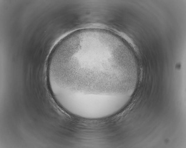 X0000116861364201002021057