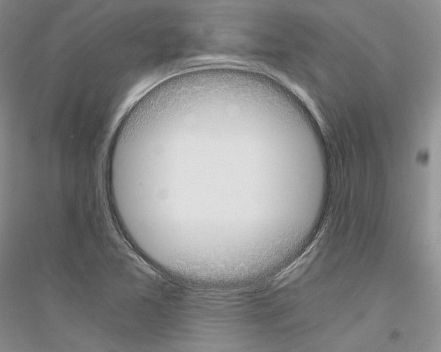 X0000116861365201002021057