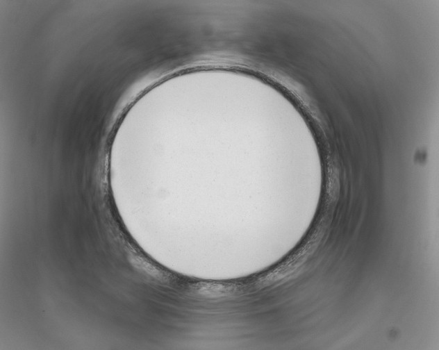 X0000116861366201002021057