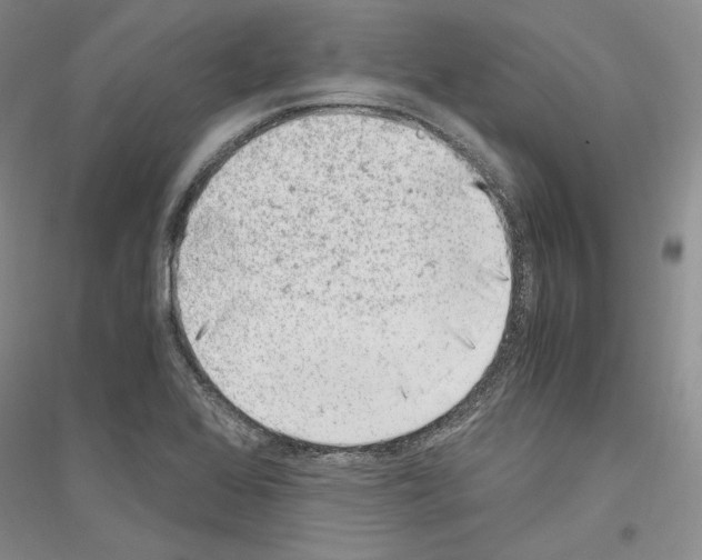 X0000116861368201002021057