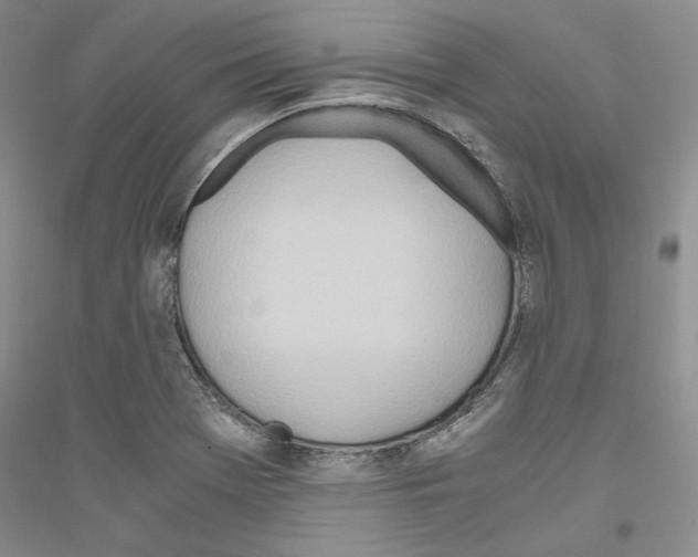 X0000116861369201002021057