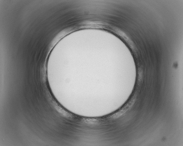 X0000116861370201002021057