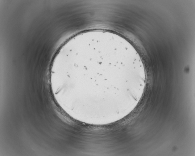 X0000116861372201002021057