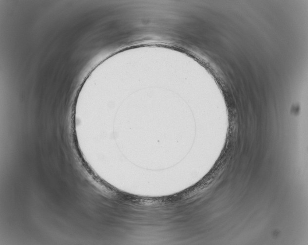 X0000116861375201002021057