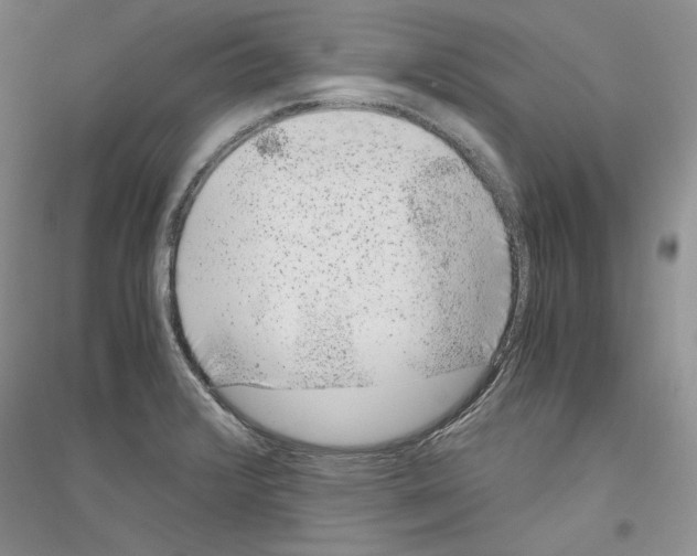 X0000116861376201002021057