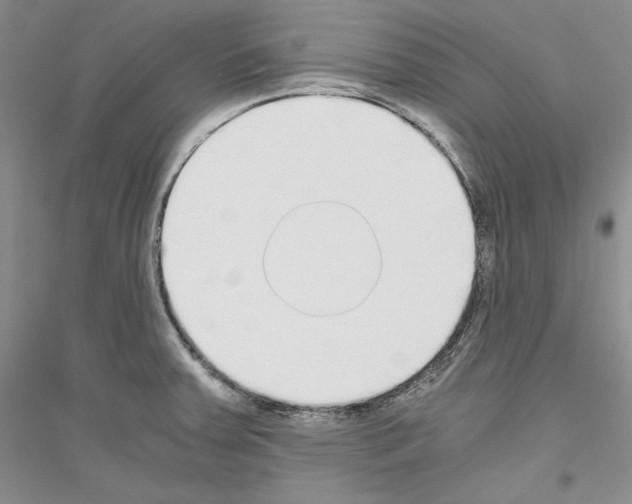 X0000116861379201002021057