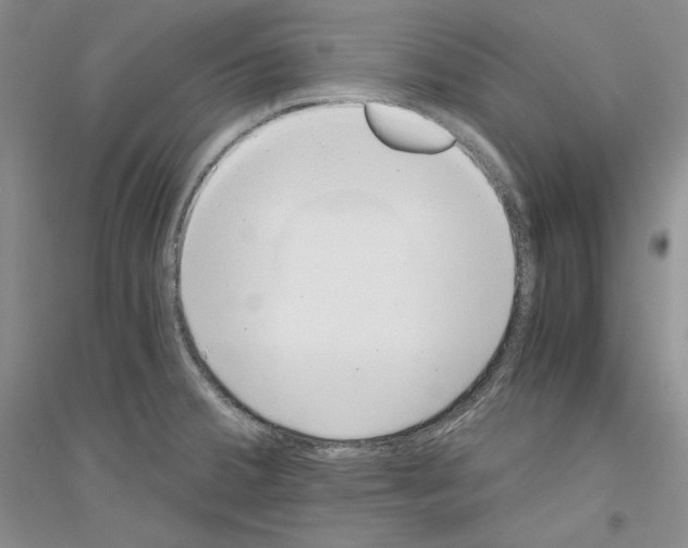 X0000116861380201002021057