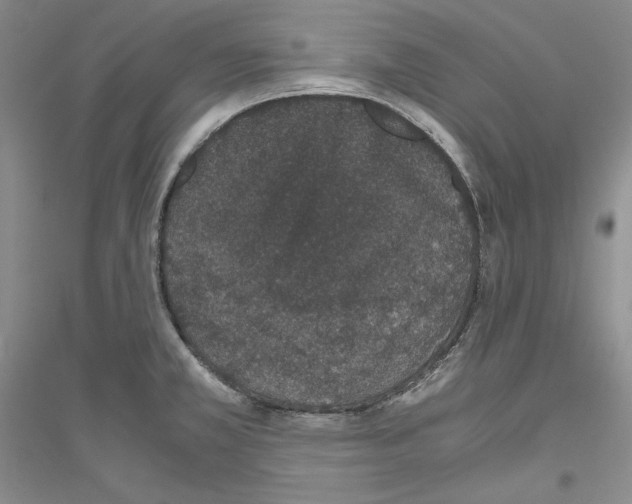 X0000116861381201002021057