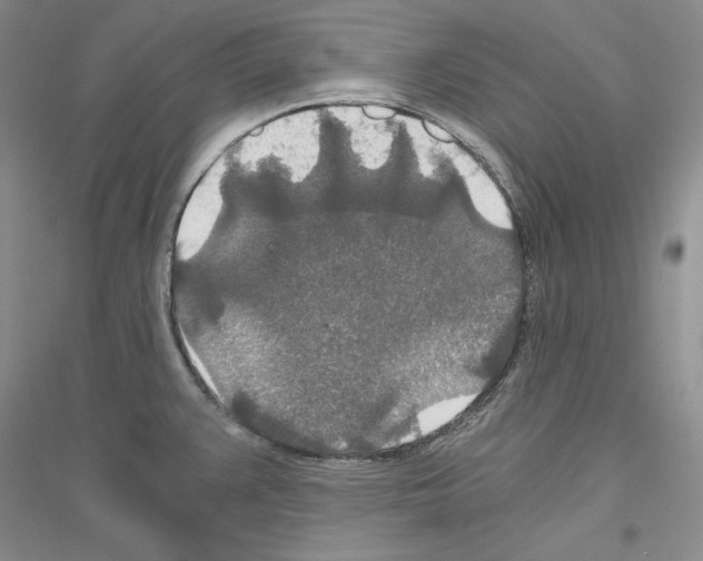 X0000116861383201002021057