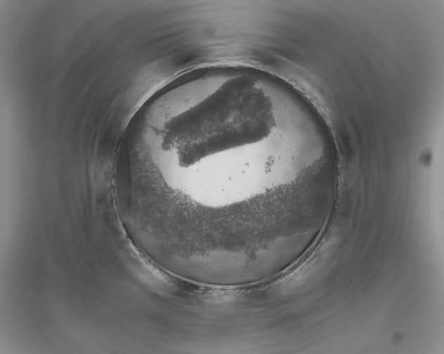 X0000116861385201002021057