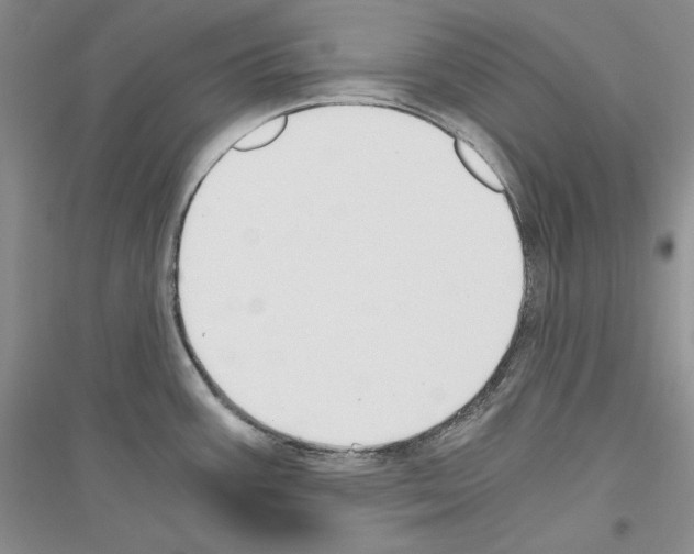 X0000116861387201002021057