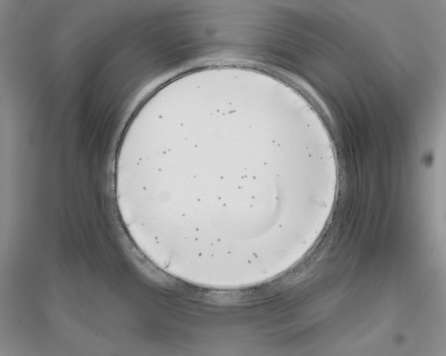 X0000116861388201002021057