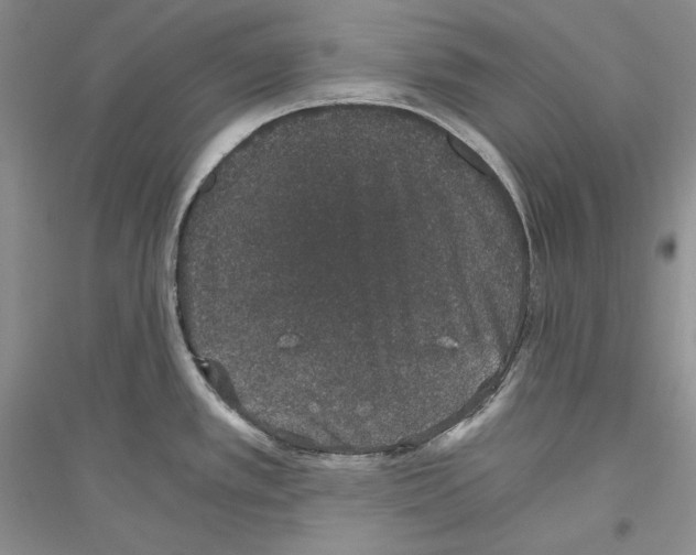 X0000116861389201002021057