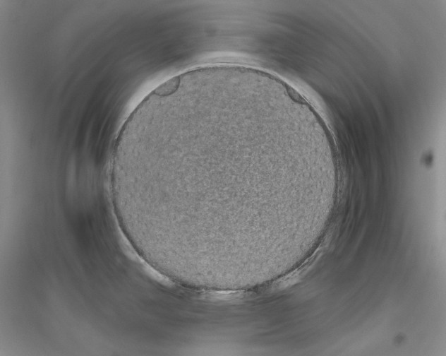 X0000116861390201002021057