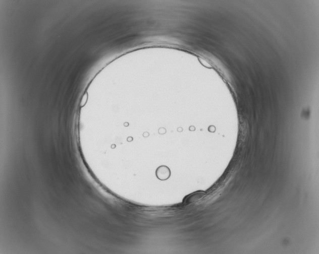 X0000116861391201002021057