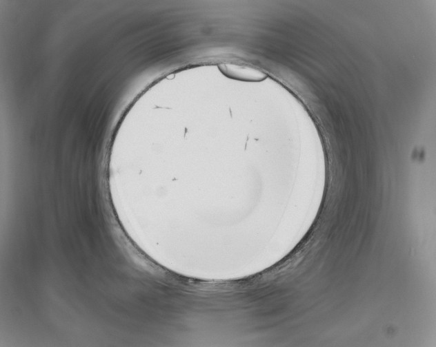 X0000116861392201002021057