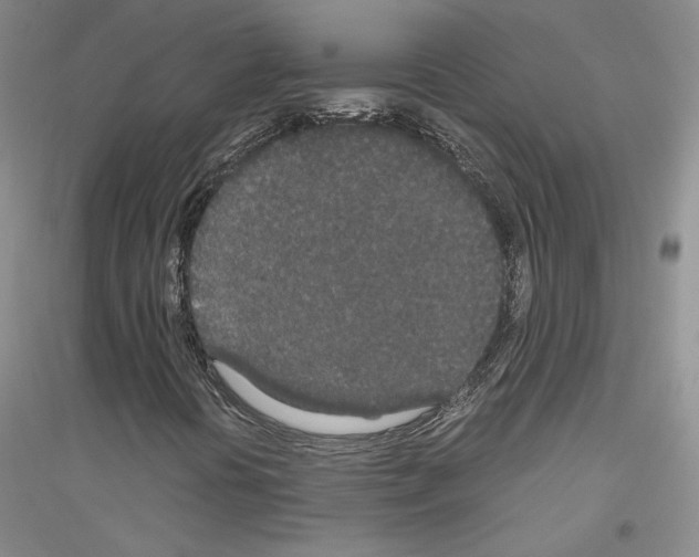 X0000116861394201002021056