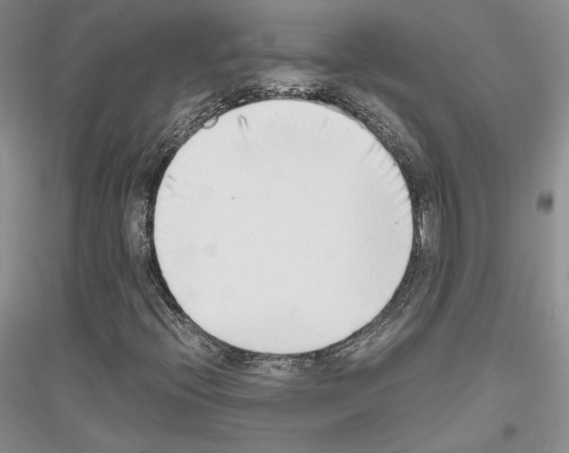 X0000116861396201002021056