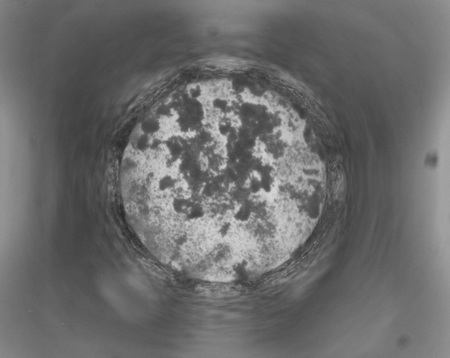 X0000116861397201002021056