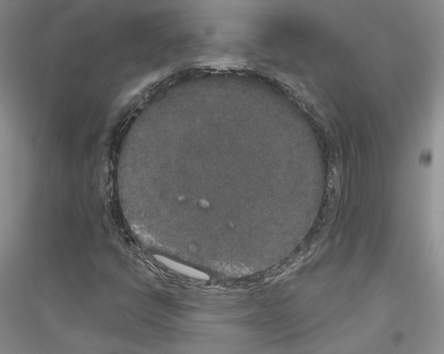 X0000116861398201002021056