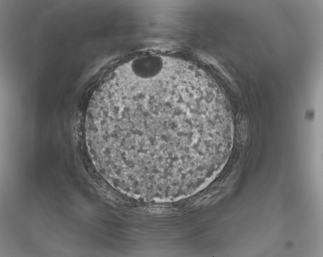 X0000116861399201002021056